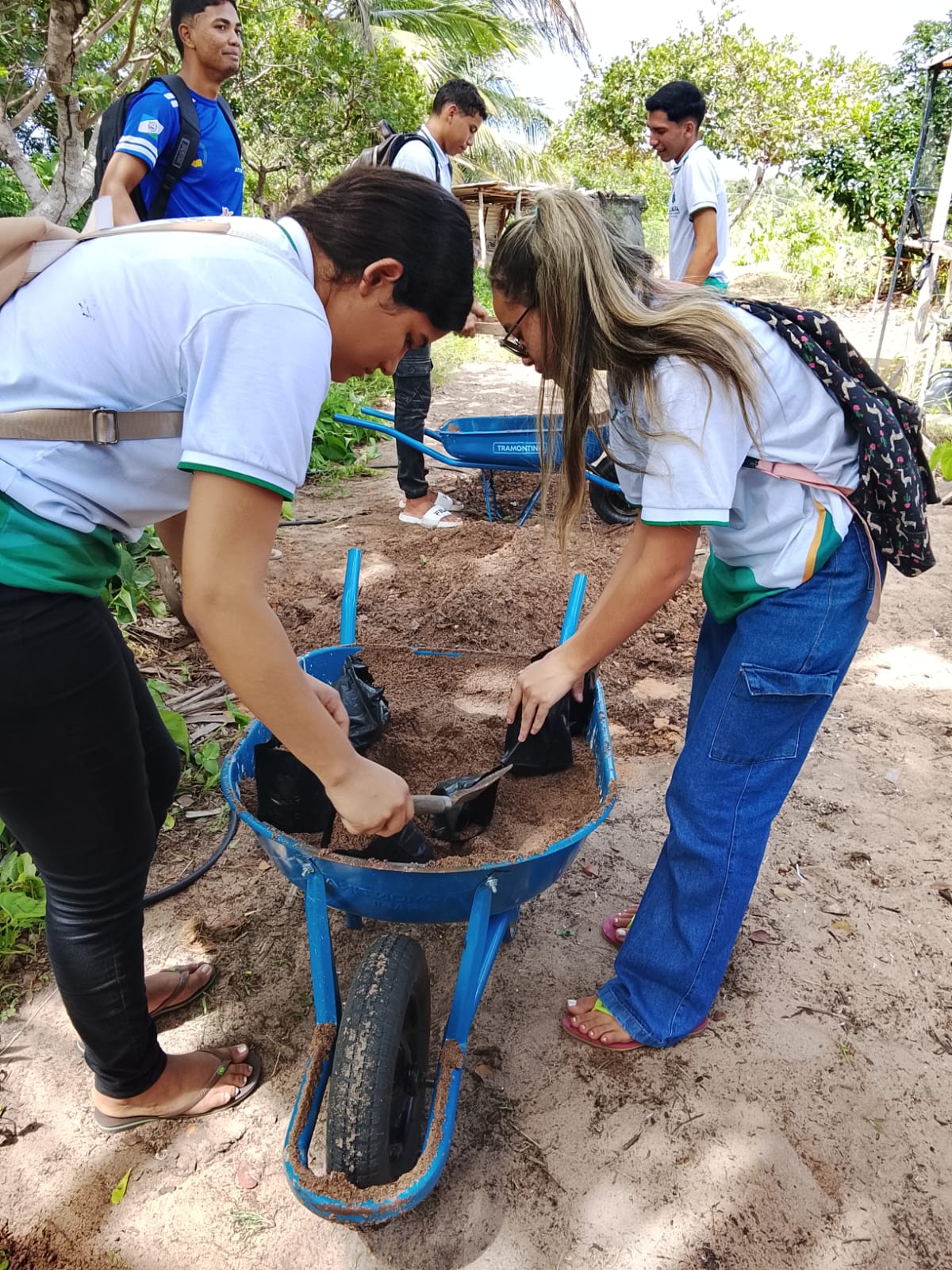 Reflorestamento e preservação ambiental