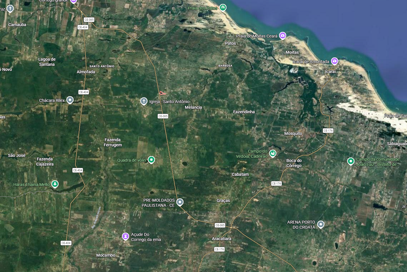 Panorama da flora nativa nas comunidades do Assentamento Lagoa do Mineiro